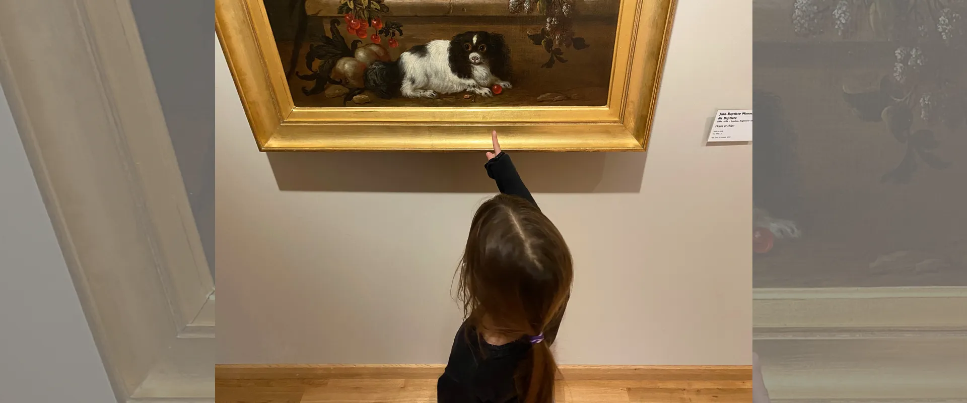 Le musée des tout-petits, Les animaux du musée - Musée d'art Hyacinthe Rigaud