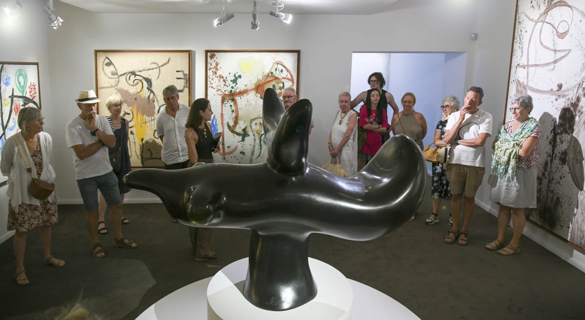 Visite guidée de l'exposition Joan Miro au musée Rigaud à Perpignan
